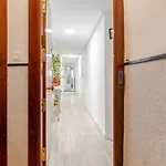 Alboko